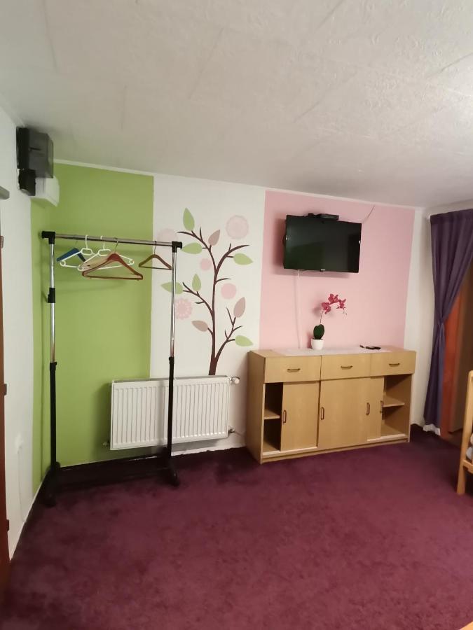 Apartman Ve Mlejne Nová Bystřice Екстериор снимка