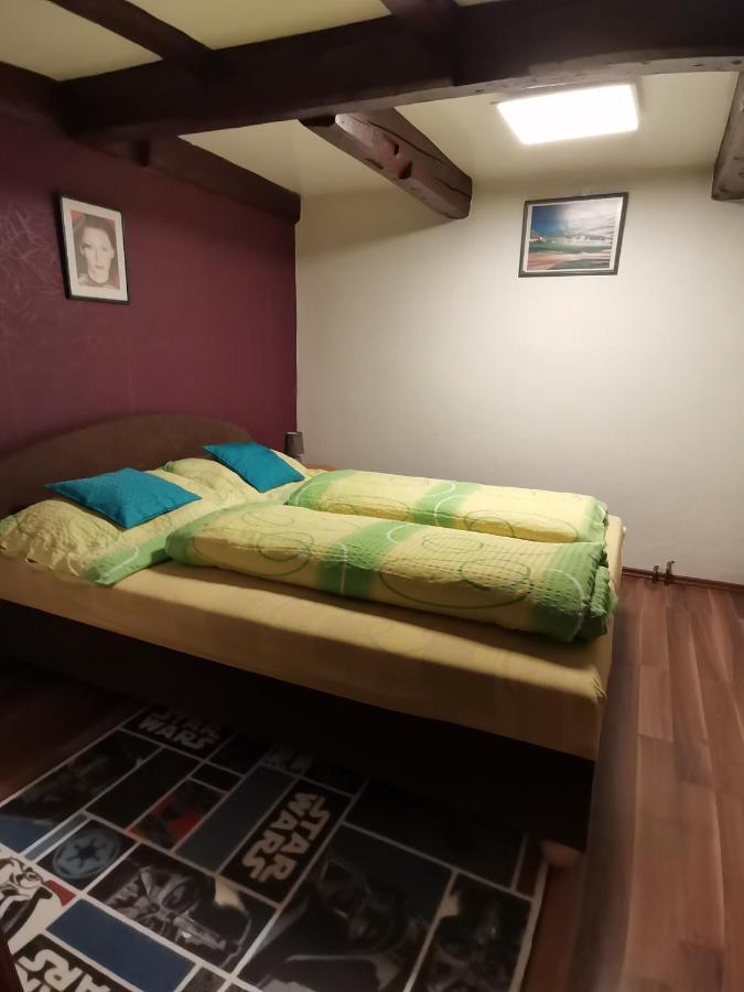 Apartman Ve Mlejne Nová Bystřice Екстериор снимка