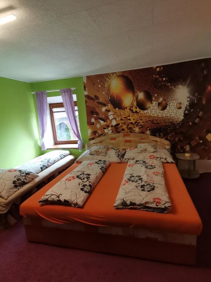Apartman Ve Mlejne Nová Bystřice Екстериор снимка