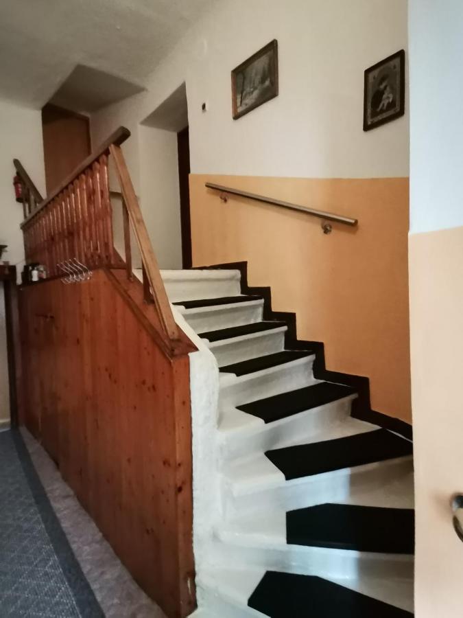 Apartman Ve Mlejne Nová Bystřice Екстериор снимка