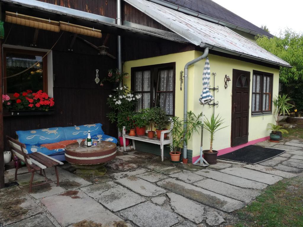 Apartman Ve Mlejne Nová Bystřice Екстериор снимка