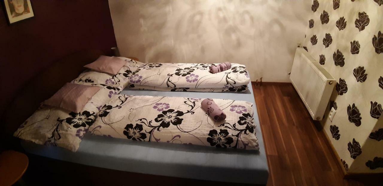 Apartman Ve Mlejne Nová Bystřice Екстериор снимка